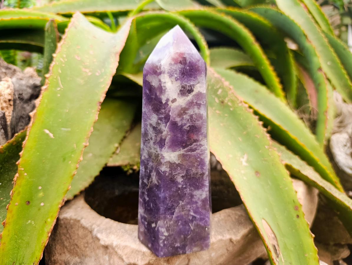 Polished Lepidolite With Pink Rubellite Points x 3 From Ambatondrazaka, Madagascar
