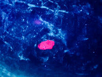 Hand Made Verdite Hippos Carvings x 2 From Zimbabwe