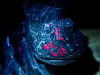 Hand Made Verdite Hippos Carvings x 2 From Zimbabwe