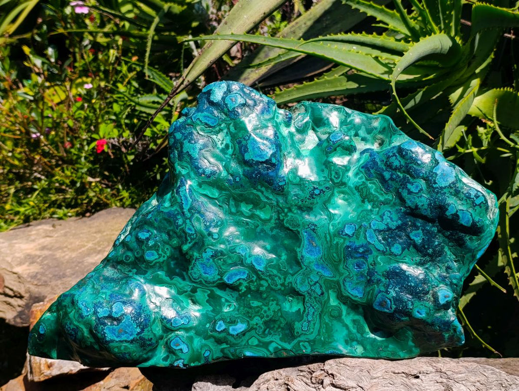 Polished XXL Malacolla Free Form x 1 From Kulukuluku, Congo - Toprock Gemstones and Minerals 