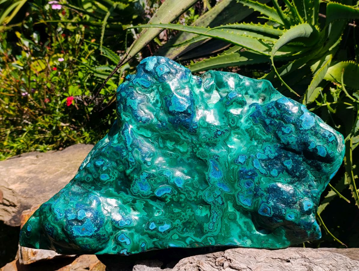 Polished XXL Malacolla Free Form x 1 From Kulukuluku, Congo - Toprock Gemstones and Minerals 