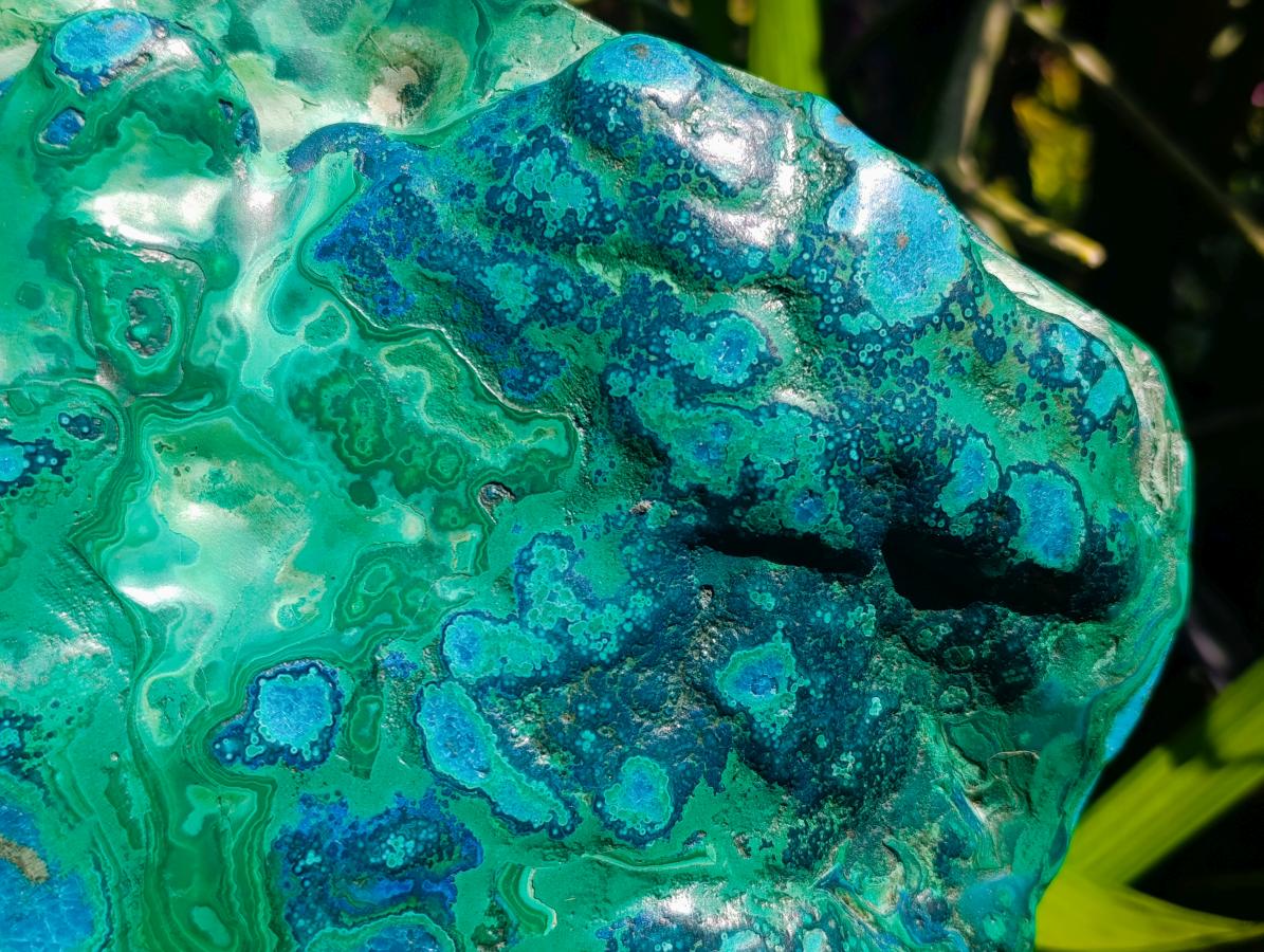 Polished XXL Malacolla Free Form x 1 From Kulukuluku, Congo