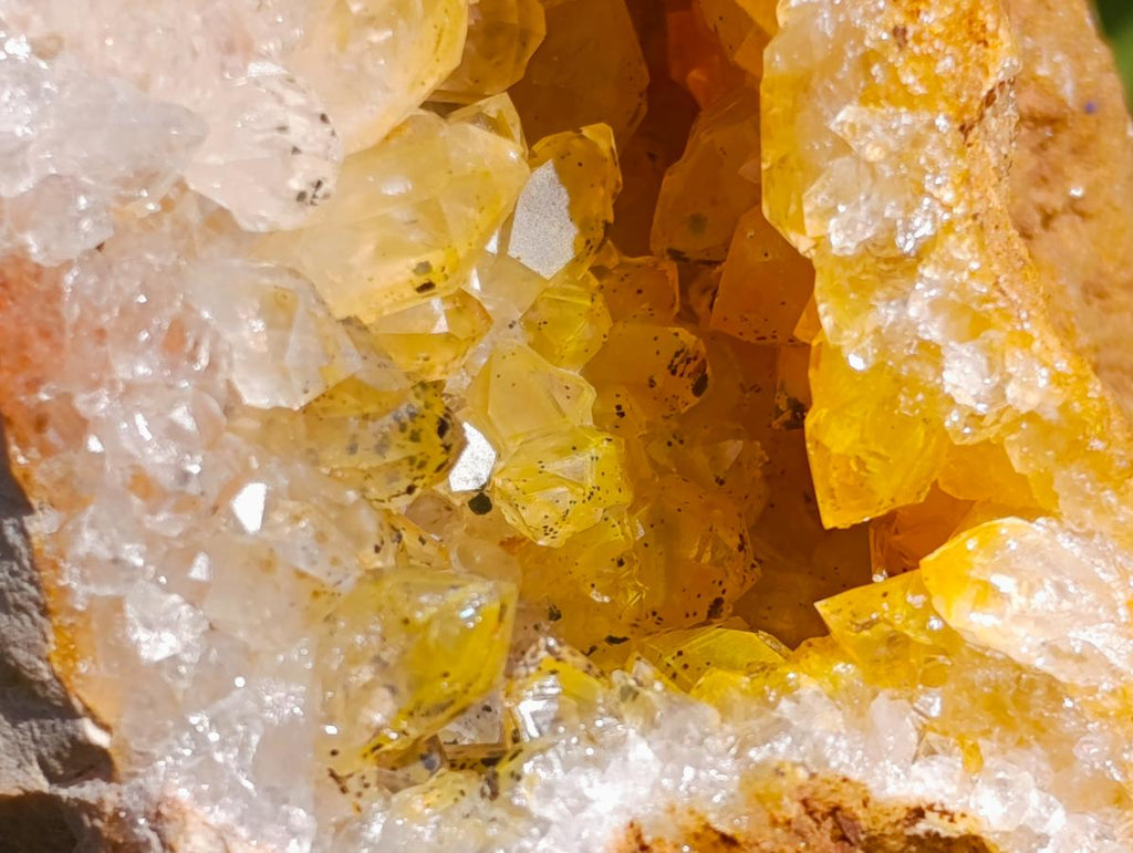 Natural XL Golden Limonite Quartz Cluster x 1 From Solwezi Zambia