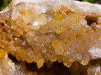 Natural XL Golden Limonite Quartz Cluster x 1 From Solwezi Zambia