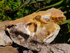 Natural XL Golden Limonite Quartz Cluster x 1 From Solwezi Zambia