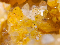 Natural XL Golden Limonite Quartz Cluster x 1 From Solwezi Zambia