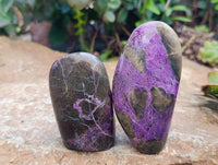 Polished Stichtite Standing Free Forms x 6 From Barberton, South Africa