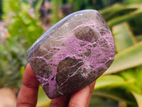 Polished Stichtite Standing Free Forms x 6 From Barberton, South Africa