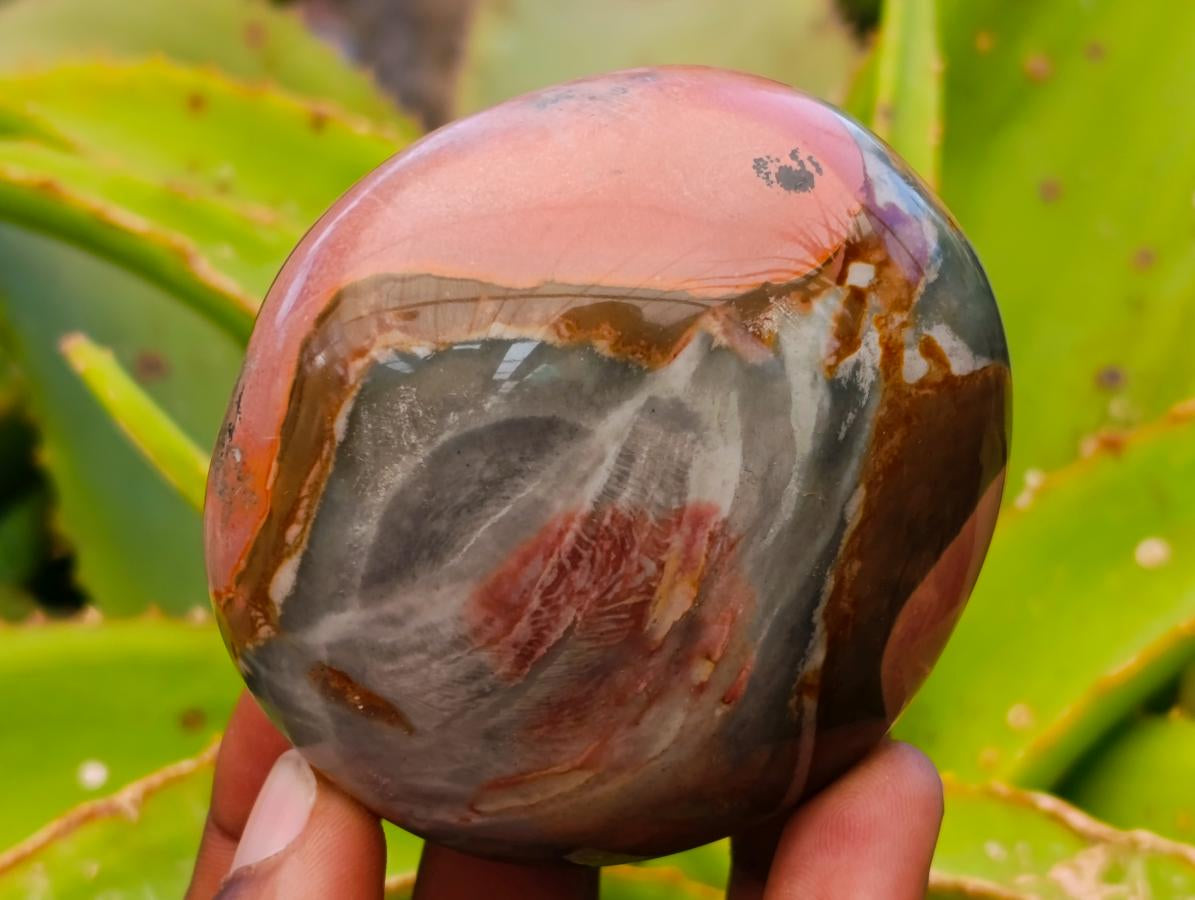 Polished Polychrome Jasper Galets x 6 From NW Coast, Madagascar - Toprock Gemstones and Minerals 