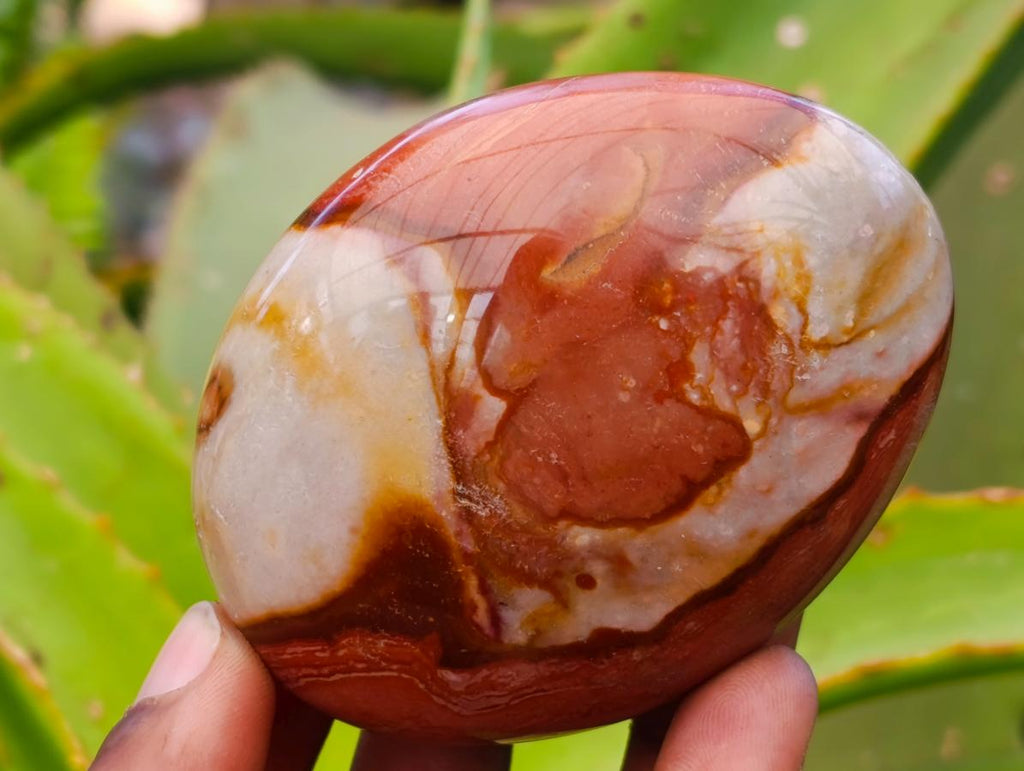 Polished Polychrome Jasper Galets x 6 From NW Coast, Madagascar - Toprock Gemstones and Minerals 