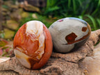 Polished Polychrome Jasper Galets x 6 From NW Coast, Madagascar - Toprock Gemstones and Minerals 