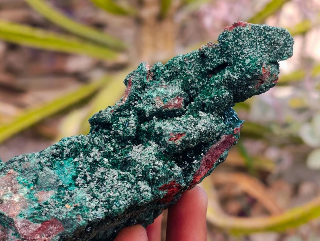 Natural Crystalline Malachite Specimens x 3 From Tenke Fungurume, Congo