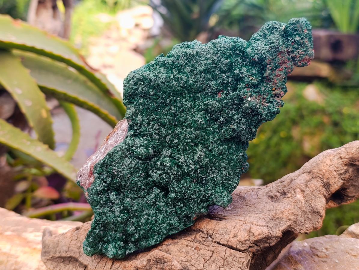 Natural Crystalline Malachite Specimens x 3 From Tenke Fungurume, Congo