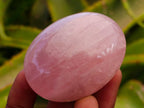 Polished Rose Quartz Palm Stones x 12 From Madagascar - Toprock Gemstones and Minerals 