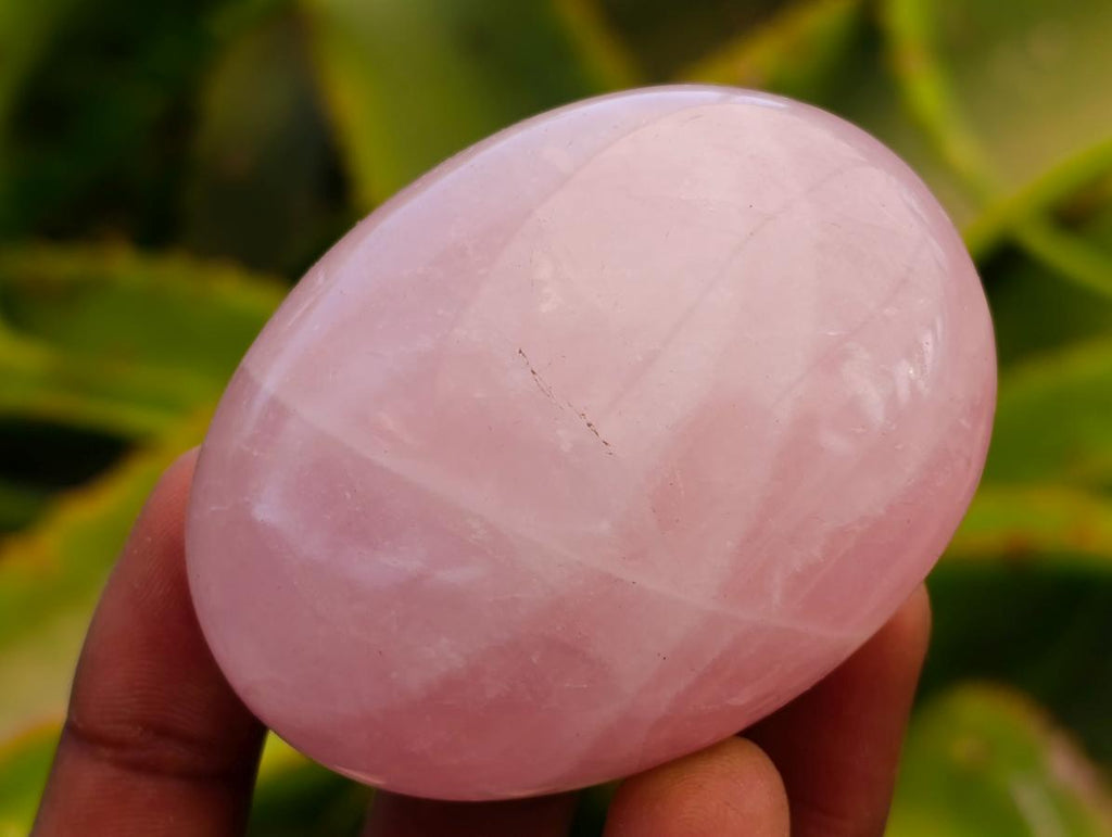 Polished Rose Quartz Palm Stones x 12 From Madagascar - Toprock Gemstones and Minerals 