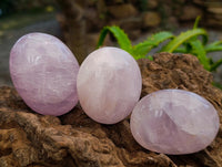 Polished Rose Quartz Palm Stones x 12 From Madagascar