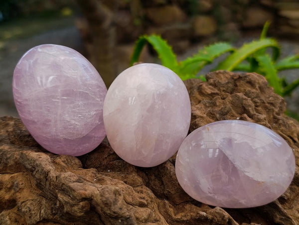 Polished Rose Quartz Palm Stones x 12 From Madagascar