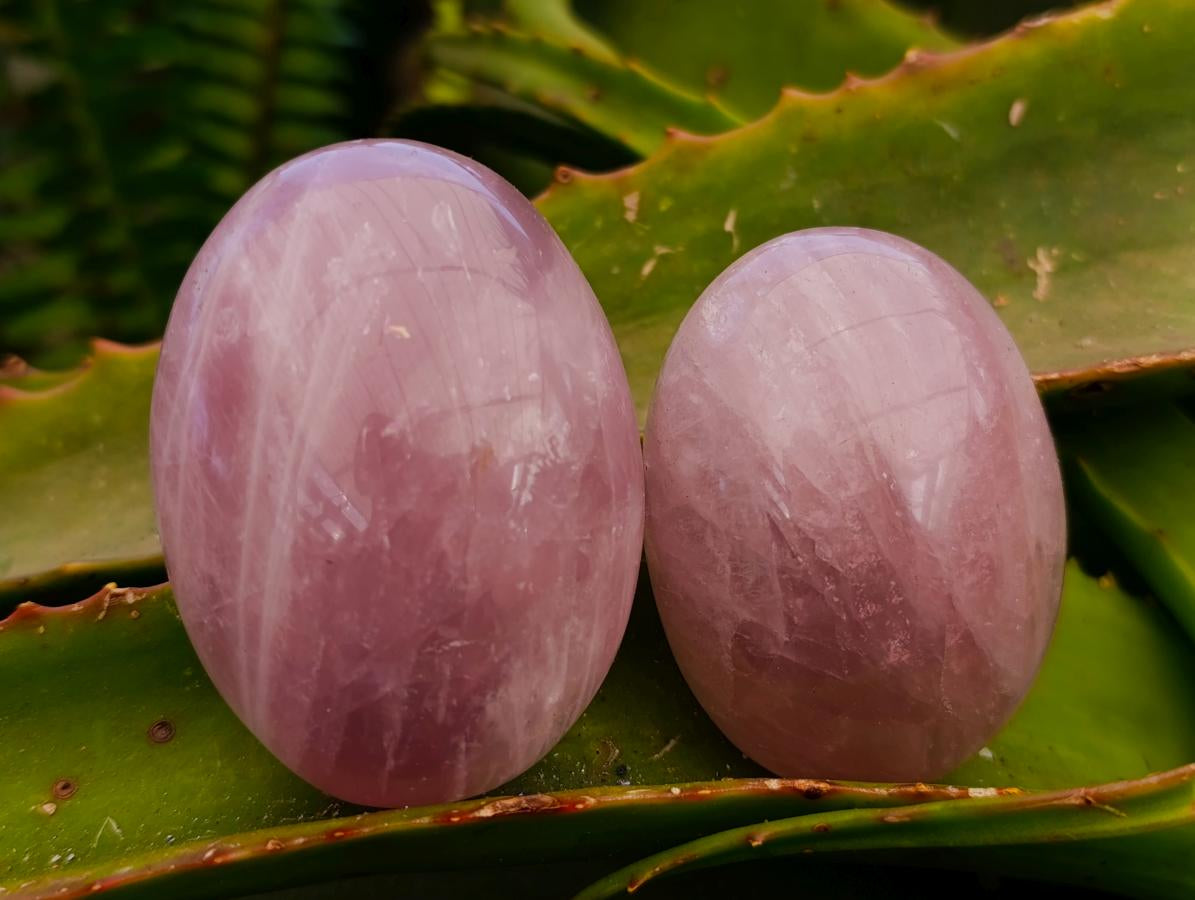 Polished Rose Quartz Palm Stones x 12 From Madagascar - Toprock Gemstones and Minerals 