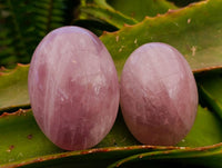 Polished Rose Quartz Palm Stones x 12 From Madagascar