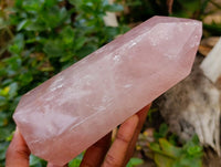 Polished Gemmy Rose Quartz Crystals x 2 From Madagascar