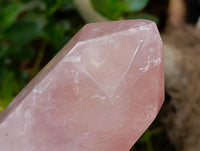 Polished Gemmy Rose Quartz Crystals x 2 From Madagascar