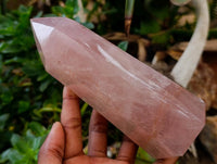Polished Gemmy Rose Quartz Crystals x 2 From Madagascar