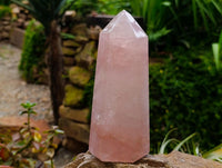Polished Gemmy Rose Quartz Crystals x 2 From Madagascar