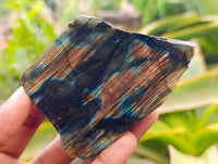 Polished On One Side Labradorite Slices x 12 From Tulear, Madagascar