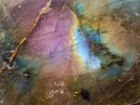 Polished On One Side Labradorite Slices x 12 From Tulear, Madagascar