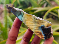 Polished On One Side Labradorite Slices x 12 From Tulear, Madagascar