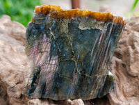 Polished On One Side Labradorite Slices x 12 From Tulear, Madagascar