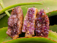 Natural Amethystos Amethyst Clusters x 20 From Kwaggafontein, South Africa
