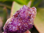 Natural Amethystos Amethyst Clusters x 20 From Kwaggafontein, South Africa