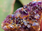 Natural Amethystos Amethyst Clusters x 20 From Kwaggafontein, South Africa
