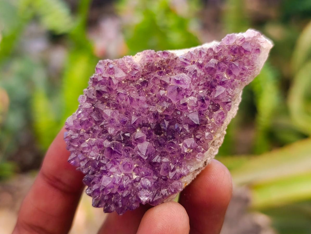 Natural Amethystos Amethyst Clusters x 20 From Kwaggafontein, South Africa