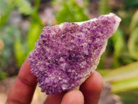 Natural Amethystos Amethyst Clusters x 20 From Kwaggafontein, South Africa