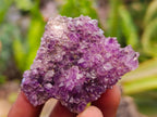 Natural Amethystos Amethyst Clusters x 20 From Kwaggafontein, South Africa