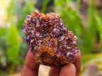 Natural Amethystos Amethyst Clusters x 20 From Kwaggafontein, South Africa