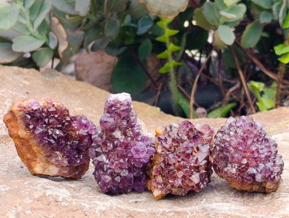 Natural Amethystos Amethyst Clusters x 20 From Kwaggafontein, South Africa