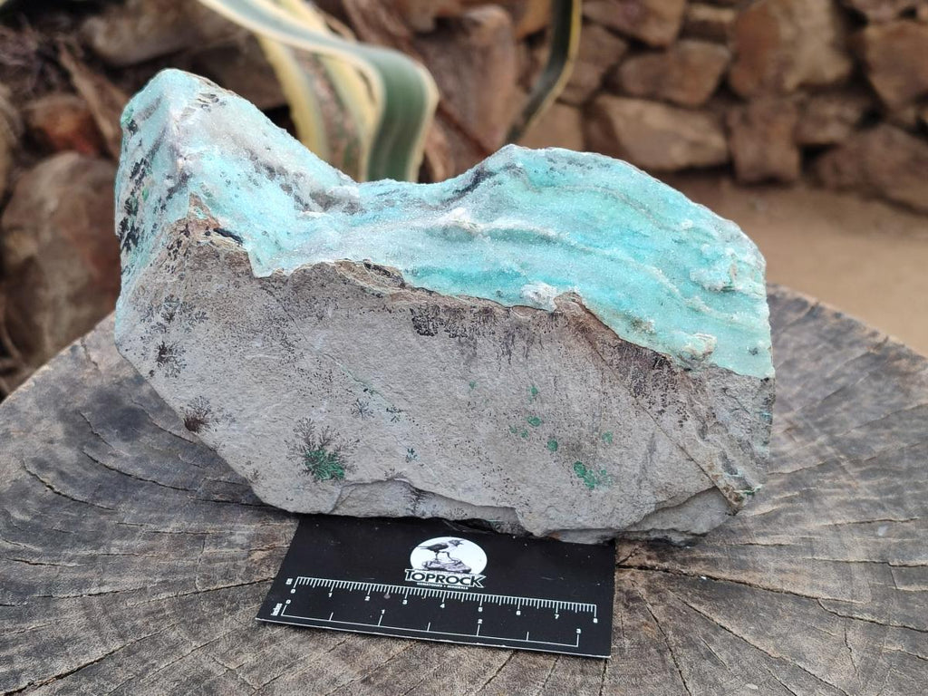 Natural Drusy Coated Chrysocolla Specimen x 1 From Lupoto, Congo - Toprock Gemstones and Minerals 