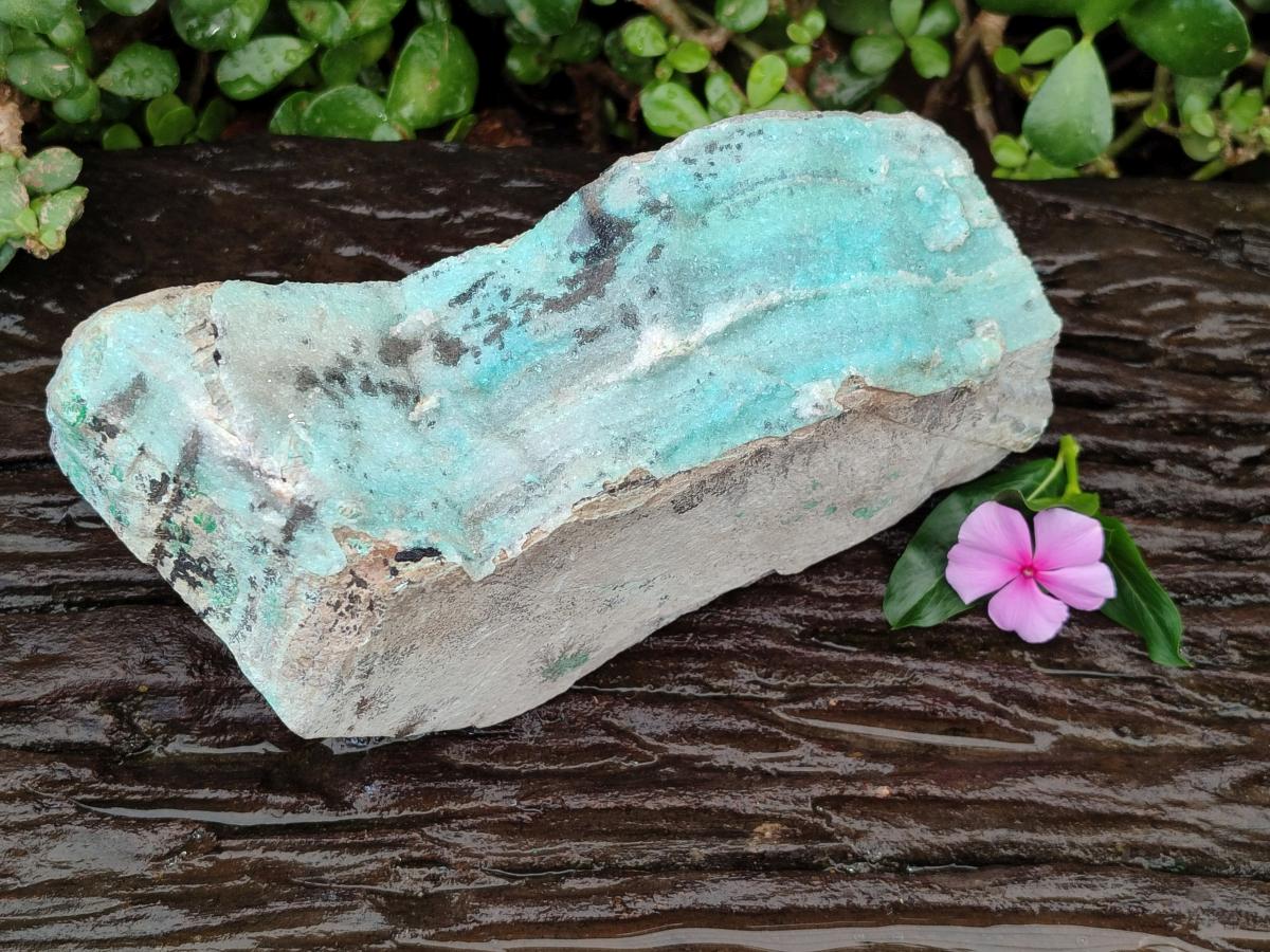 Natural Drusy Coated Chrysocolla Specimen x 1 From Lupoto, Congo - Toprock Gemstones and Minerals 