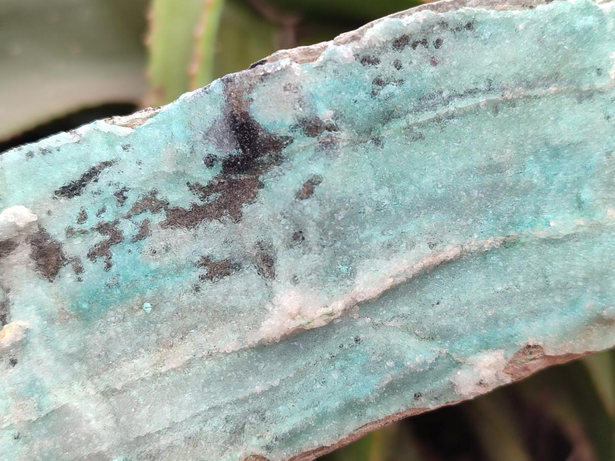 Natural Drusy Coated Chrysocolla Specimen x 1 From Lupoto, Congo - Toprock Gemstones and Minerals 