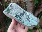 Natural Drusy Coated Chrysocolla Specimen x 1 From Lupoto, Congo - Toprock Gemstones and Minerals 