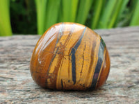 Polished Jumbo Golden Tigers Eye With Banded Iron Stone Free Forms x 6 From Prieska, South Africa