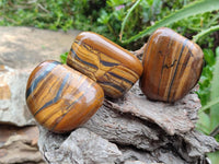 Polished Jumbo Golden Tigers Eye With Banded Iron Stone Free Forms x 6 From Prieska, South Africa