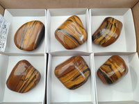 Polished Jumbo Golden Tigers Eye With Banded Iron Stone Free Forms x 6 From Prieska, South Africa