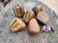 Polished Jumbo Golden Tigers Eye With Banded Iron Stone Free Forms x 6 From Prieska, South Africa