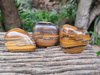 Polished Jumbo Golden Tigers Eye With Banded Iron Stone Free Forms x 6 From Prieska, South Africa