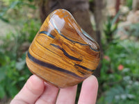 Polished Jumbo Golden Tigers Eye With Banded Iron Stone Free Forms x 6 From Prieska, South Africa