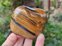 Polished Jumbo Golden Tigers Eye With Banded Iron Stone Free Forms x 6 From Prieska, South Africa